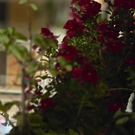 Attico Imperiale - In Centro, Tra Stazione E Vecchia * Bari