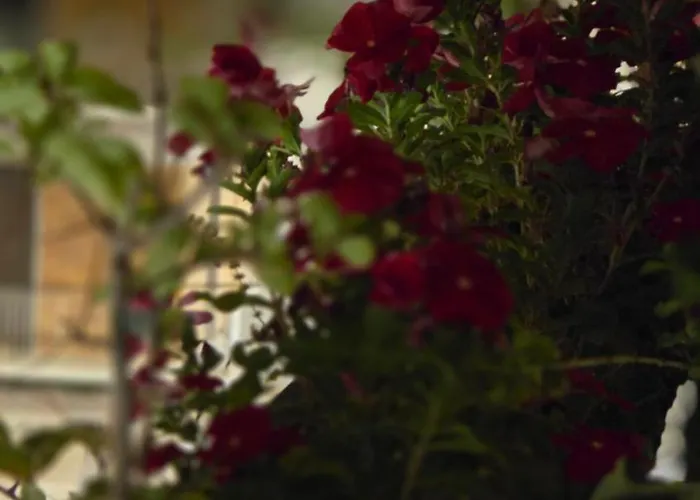 Attico Imperiale - In Centro, Tra Stazione E Vecchia * Bari